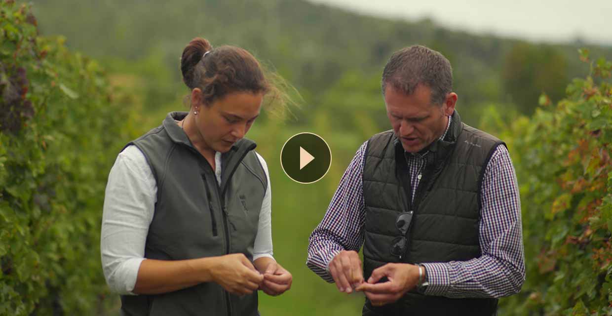 Discover more about Centurion Living Wine