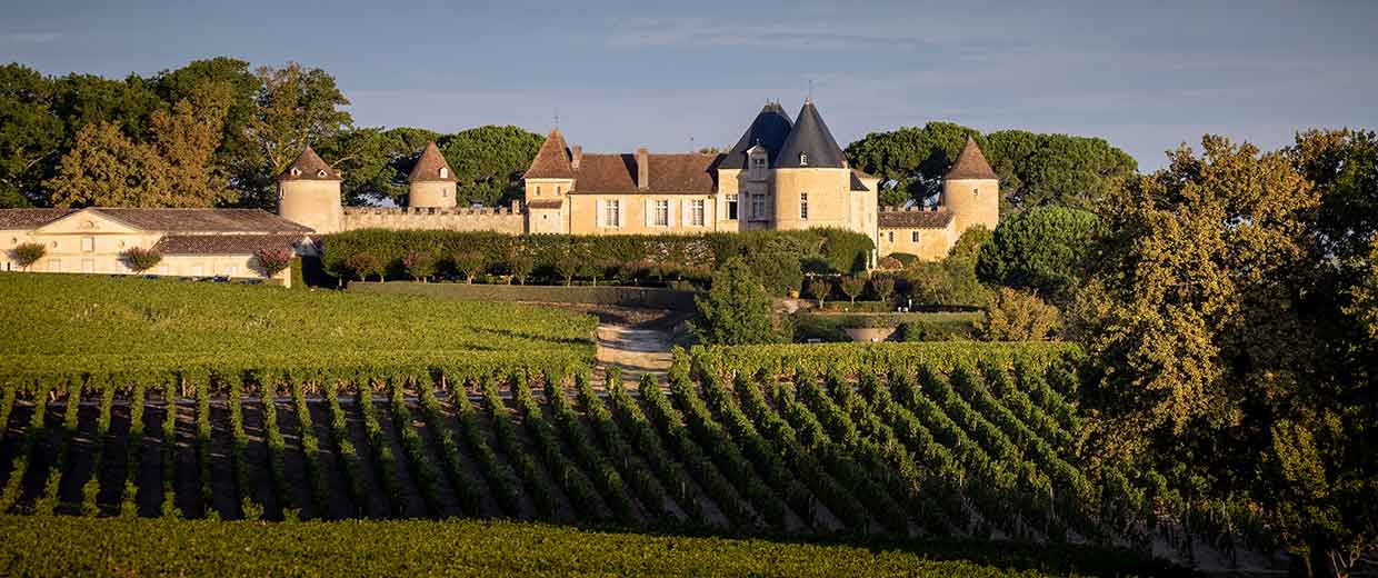 Château d’Yquem, Bordeu