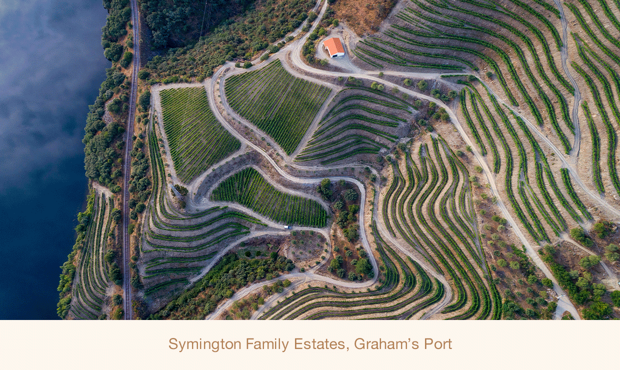 Discover more about Centurion Living Wine