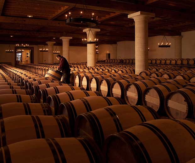 Wine casks in a cellar