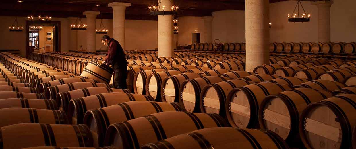 Wine casks in a cellar